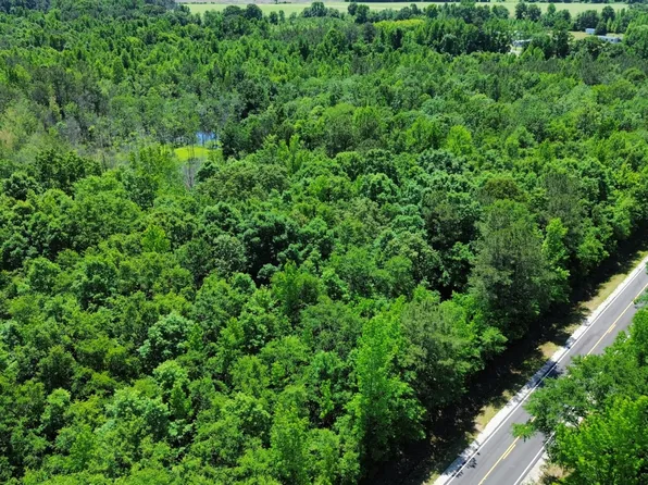 0 Alfordsville Rd Tract 1, Rowland, NC 28383