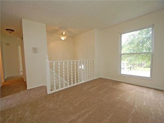 Living Room : New carpet throughout house and fresh paint.