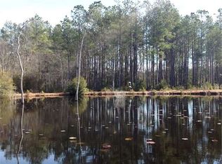 2370 Tomahawk St, Hemingway, SC 29554