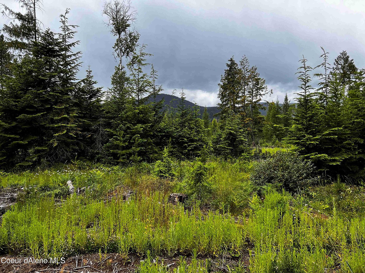 1267-elmira-rd-80-sandpoint-id-83864-mls-23-6592-zillow