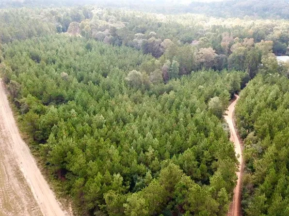 10.2 Acres Cres #2310, Woodville, TX 75979