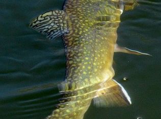 71 Mine Rd, Westhampton, MA 01027