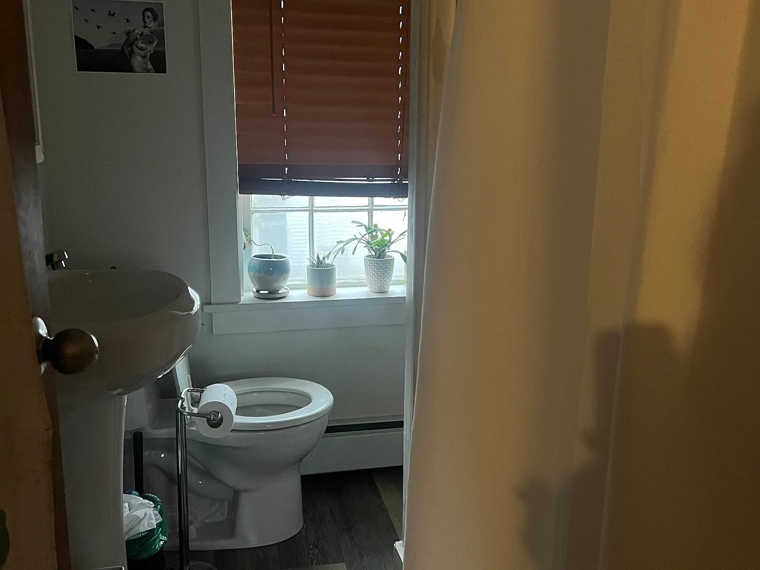 3 bed, 1000 sqft, $4,000 — Photo 3