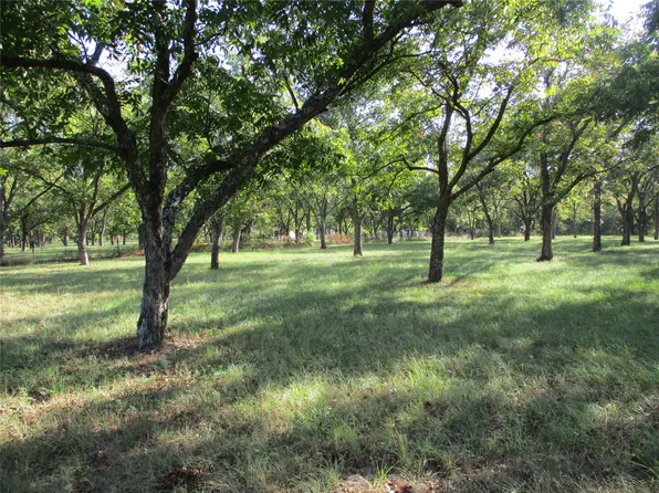 160 Rains County Rd #2181, Emory, TX 75440