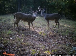 1519 John Thomas Rd, Manitou, KY 42436