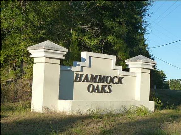 4th image of LOT 17 Hammock Oaks Blvd