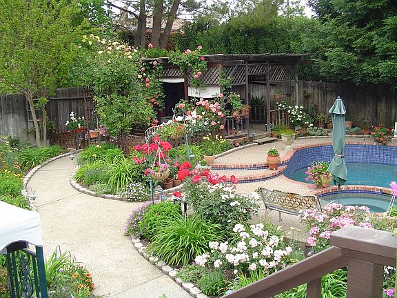 Backyard 3