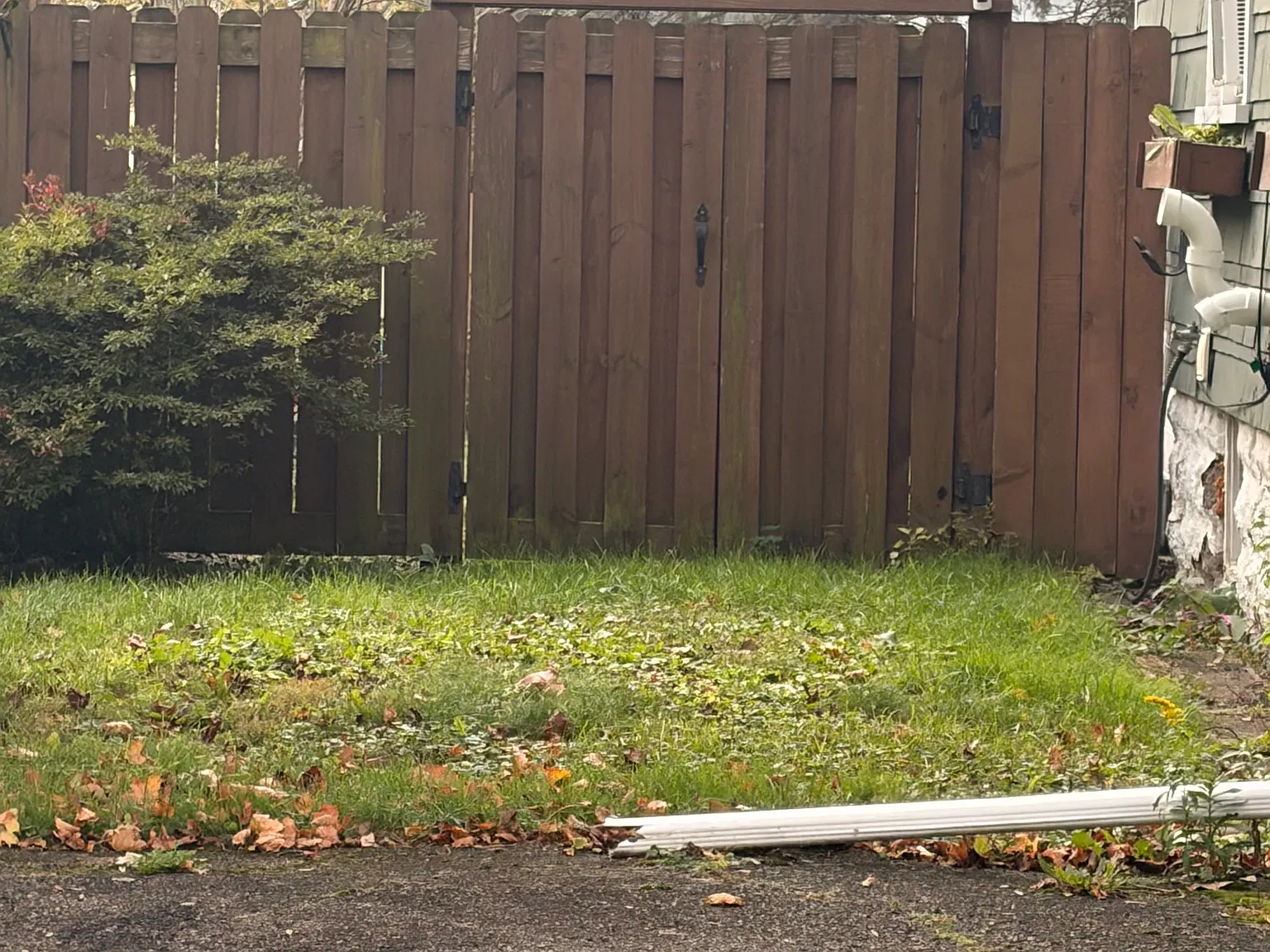 Olive St — Photo 3