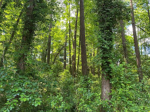 4th image of 11 Hills Woodland Ln SW