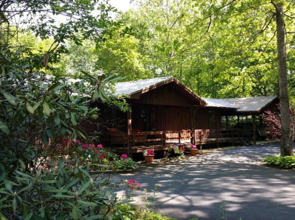 1999 Swiss Pine Lake Dr, Spruce Pine, NC 28777