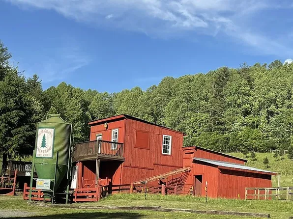 687 Three Creeks Ln, Sparta, NC 28675