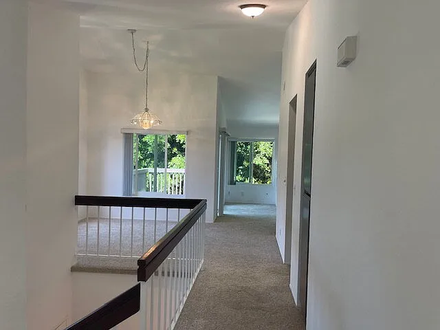 2806 Cacatua St #C — Photo 10