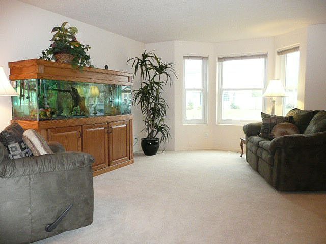 Bright Open Living Room