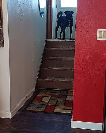 Steps up to mudroom/hallway