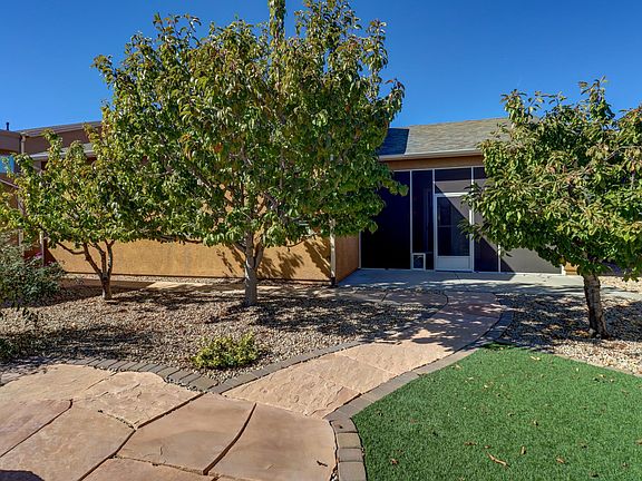Back yard