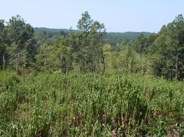 800 Hugh White State Park Rd, Grenada, MS 38901