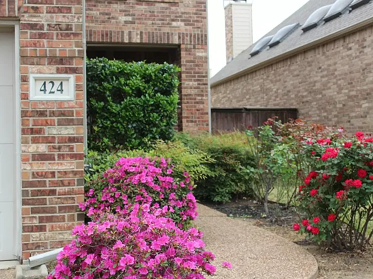 424 Lacebark Dr — Photo 4