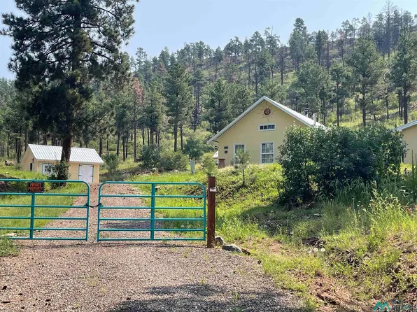 22 Pine Tree Rd, Buena Vista, NM 87712