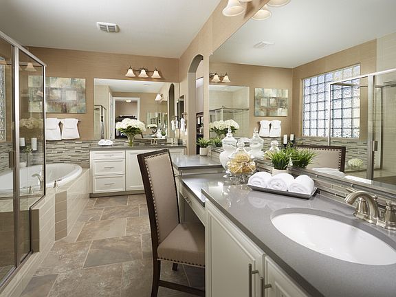 Owner's Bath