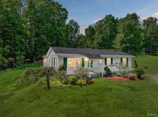 251 Dover Rd, Barneveld, NY 13304