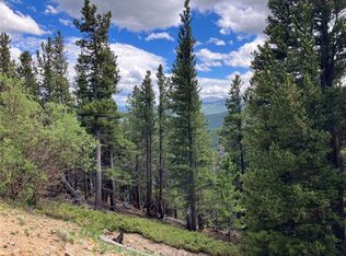 Hilltop Rd LOT 494 & 496, Idaho Springs, CO 80452