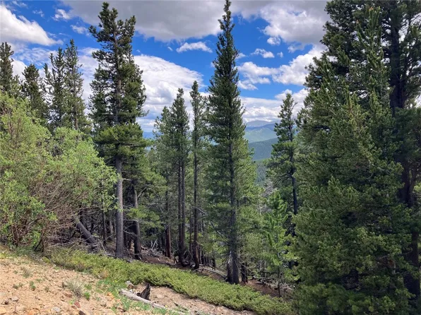 Hilltop Rd Lot 494 & 496, Idaho Springs, CO 80452