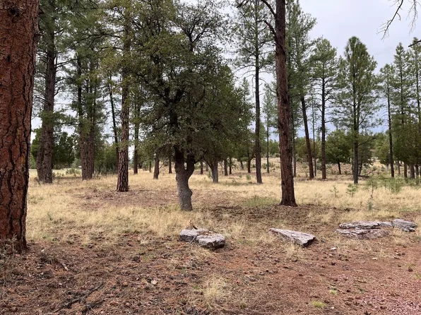 N State Route 87, Pine, AZ 85544