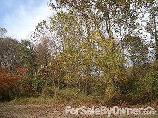 2nd image of 20 Lakeland Park Dr
