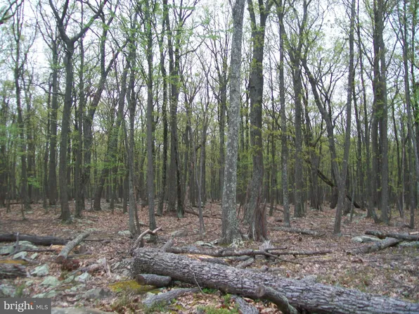 Gold Nugget Rd, Augusta, WV 26704