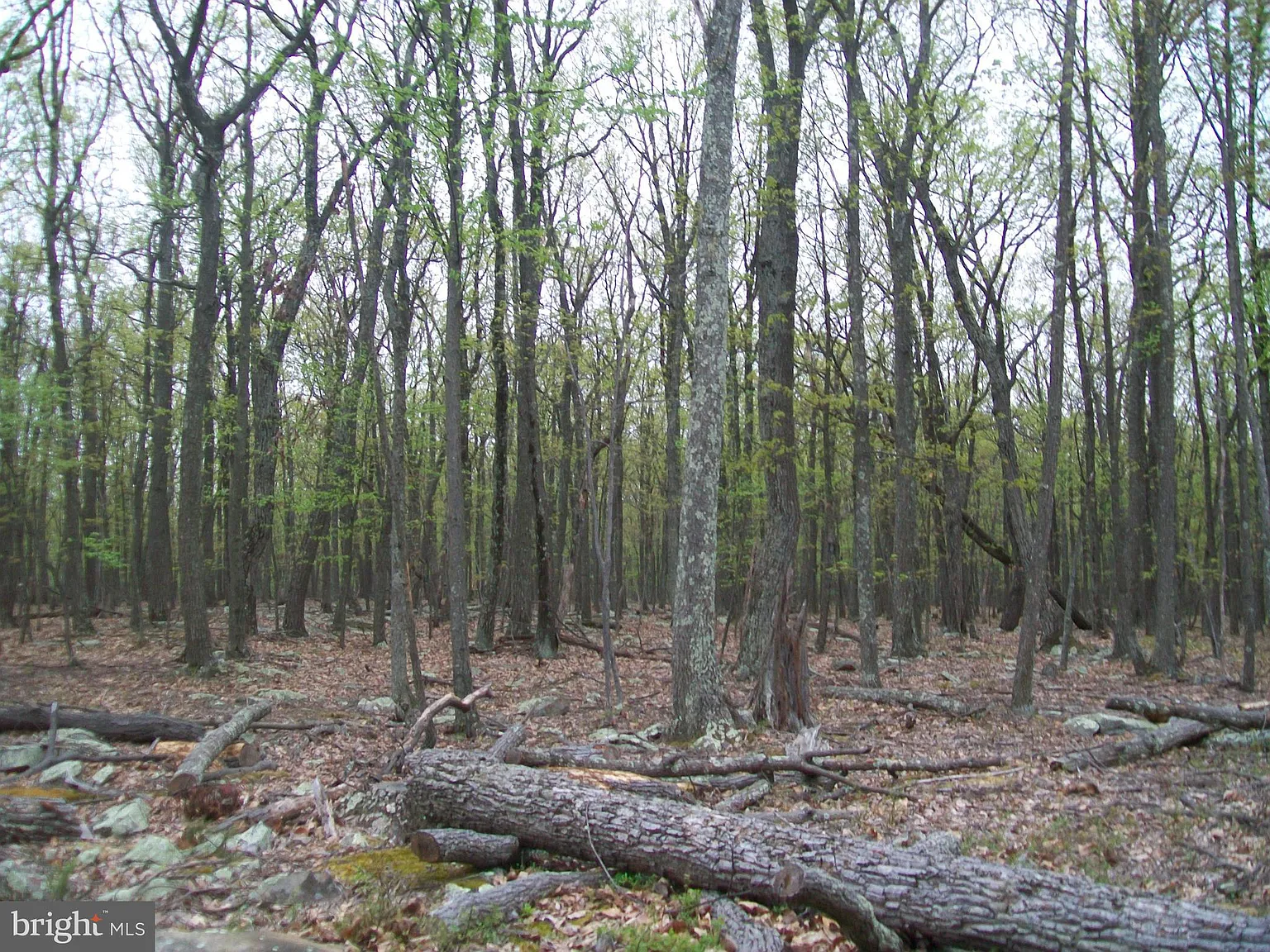 Gold Nugget Rd photo 1
