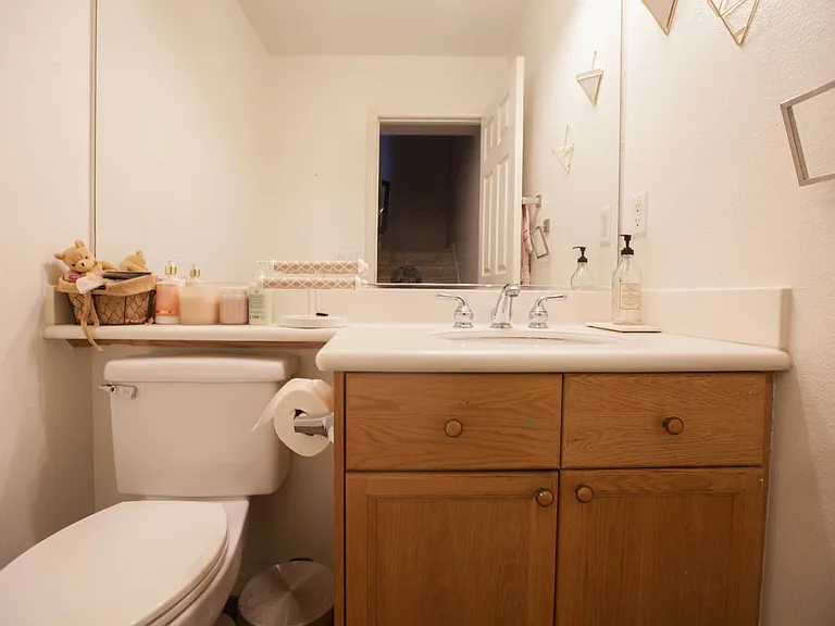 Hall Bath (downstairs)