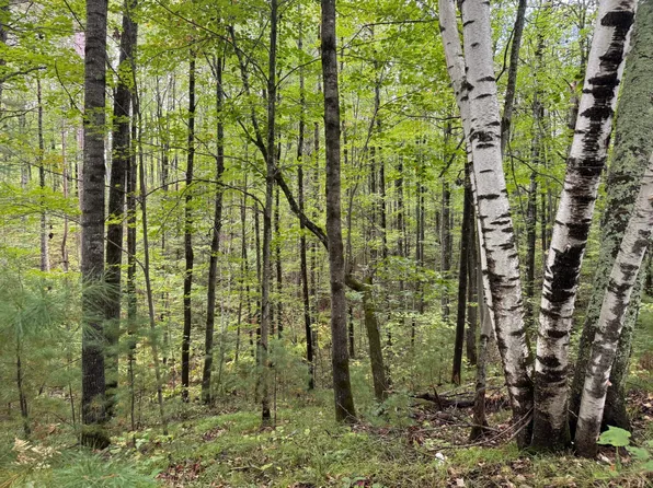 LOT 5 Sutton Rd, Minocqua, WI 54548