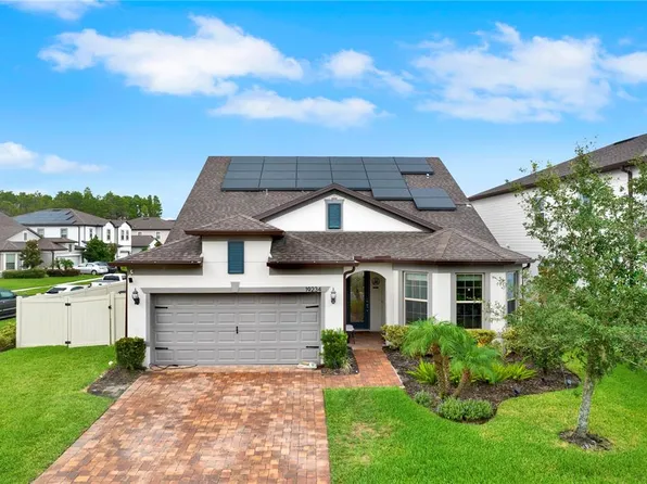 19234 MOSSY PINE DRIVE, TAMPA, FL 33647