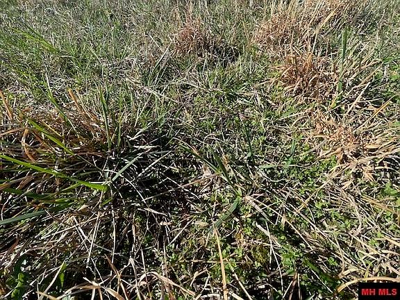 5th image of 001-07136-002 Reedville Rd