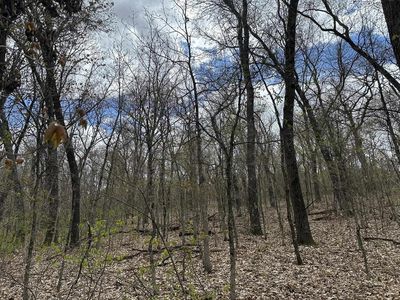 8.81 ac Raedel Lane #44, Wisconsin Dells, WI, 53965