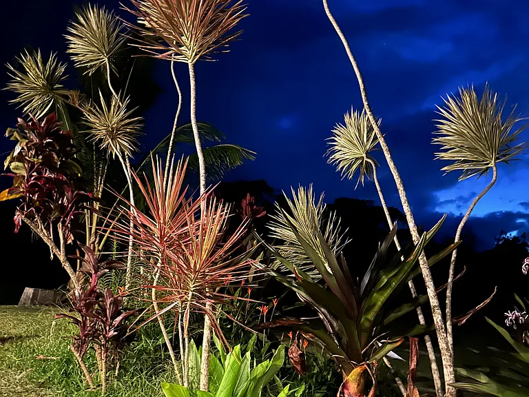 Alalele Pl — Photo 7