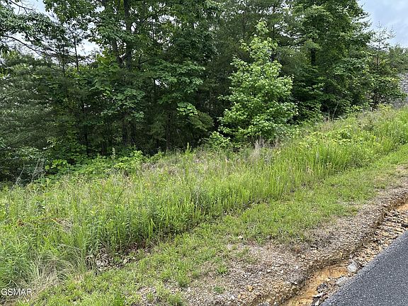 5th image of 59 Misty Bluff Trl Lot 59
