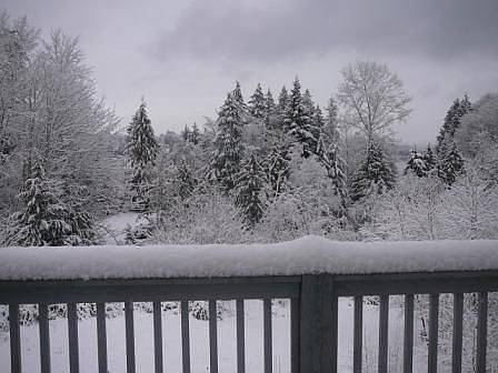 Snow Dec 2008