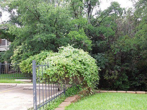 Green runoff area