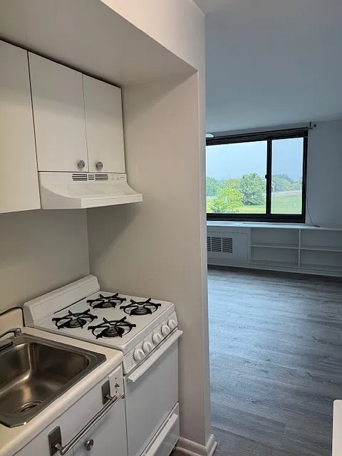 Studio, 401 sqft, $1,600 — Photo 2