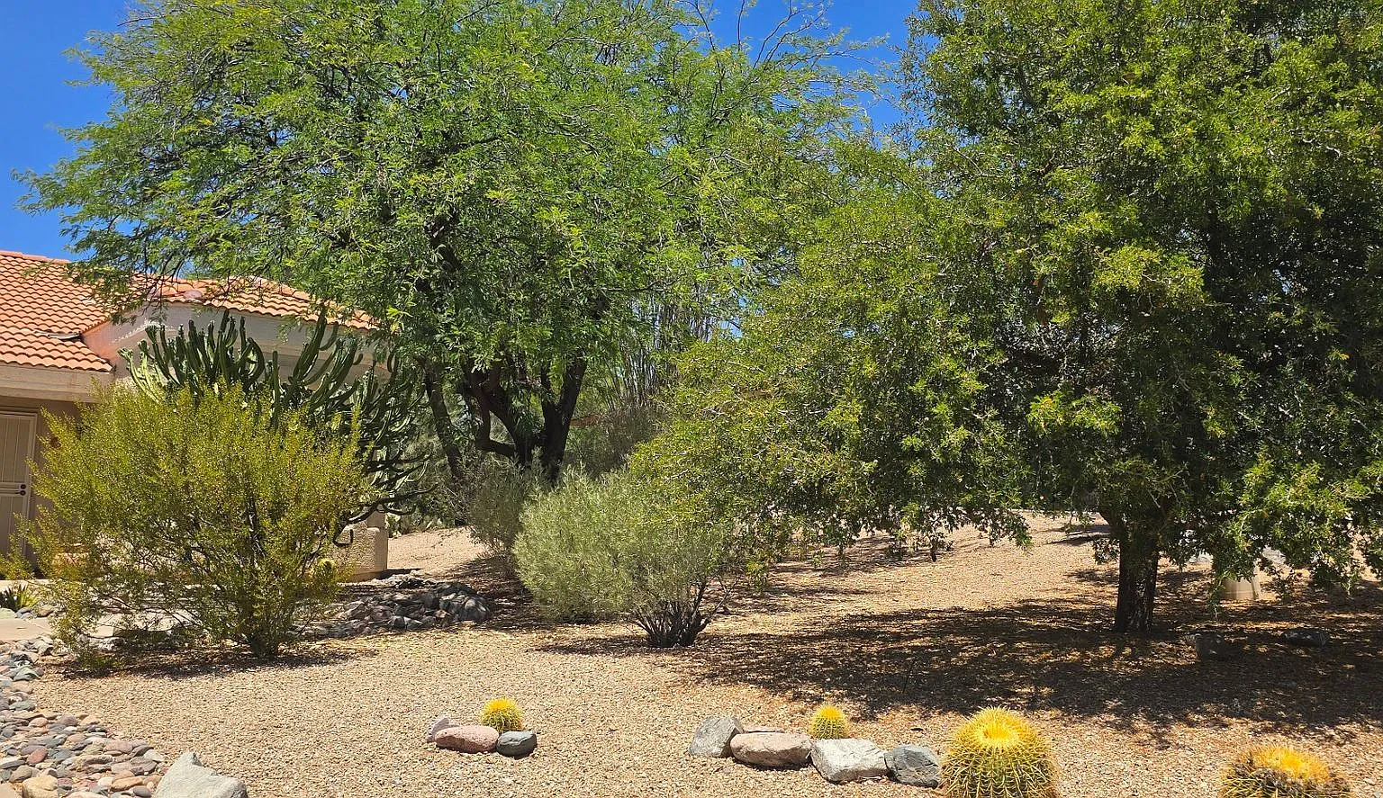 fdgalb — Photo 2