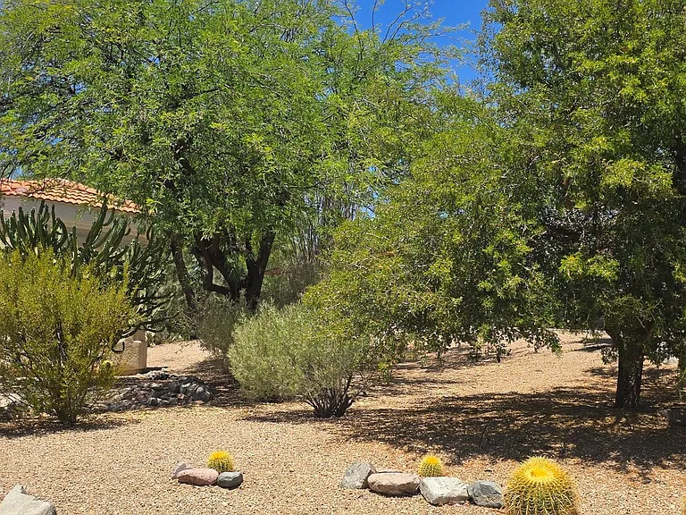 14406 N Galatea Dr #B — Photo 2