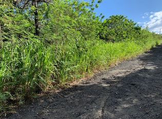 94-6445 Palaoa Rd LOT 13, Naalehu, HI 96772
