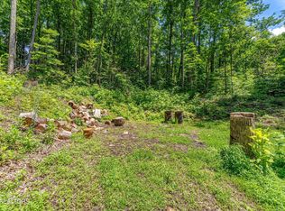 229 Sonshine Ridge Rd Lot 4-5, Cosby, TN 37722