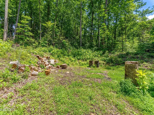 229 Sonshine Ridge Rd Lot 4-5, Cosby, TN 37722