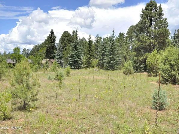35T E Rose Marie Ct, Pinetop, AZ 85935