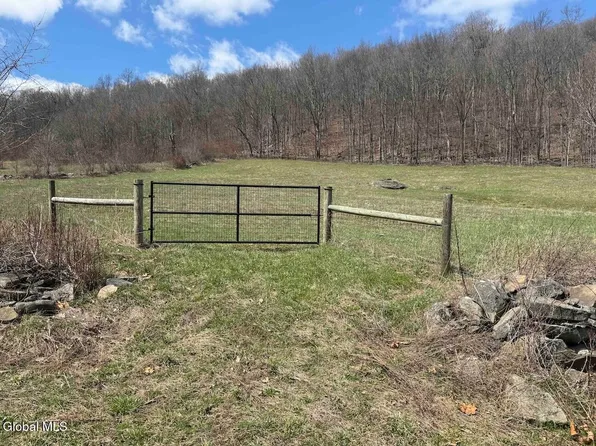 L25 Brand Hollow Road, Durham, NY 12422