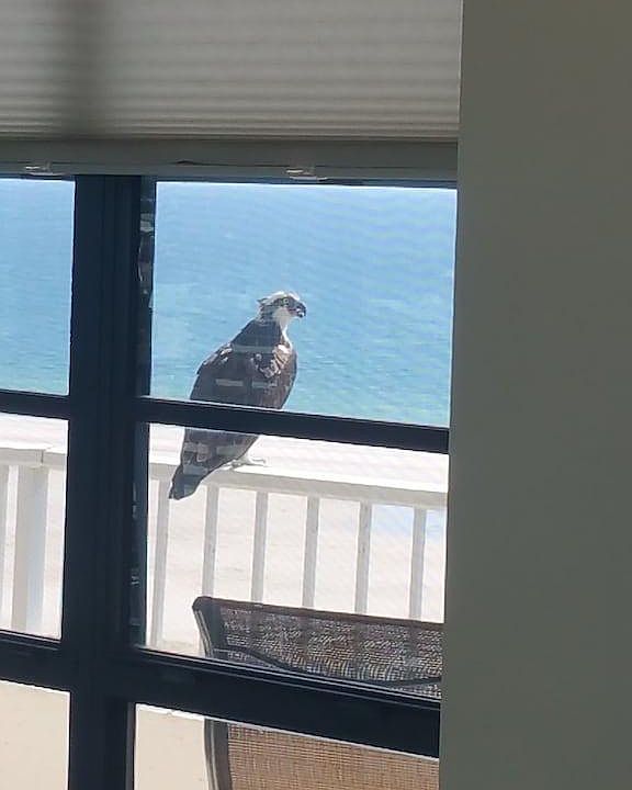 1st image of 380 Seaview Ct APT 511