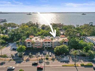 950 Broadway APT 103, Dunedin, FL, 34698