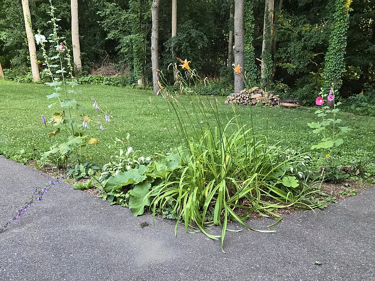 72 Juniper Rdg #A — Photo 57